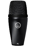 Картинка Инструментальный микрофон AKG P2 - лучшая цена, доставка по России