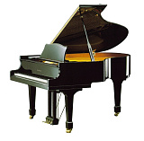 Картинка Акустический рояль Samick NSG175D/EBHP - лучшая цена, доставка по России