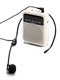 Картинка Громкоговоритель ручной LAudio WS-VA030-Pro - лучшая цена, доставка по России