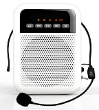 Картинка Переносной громкоговоритель для гида LAudio WS-VA030 - лучшая цена, доставка по России