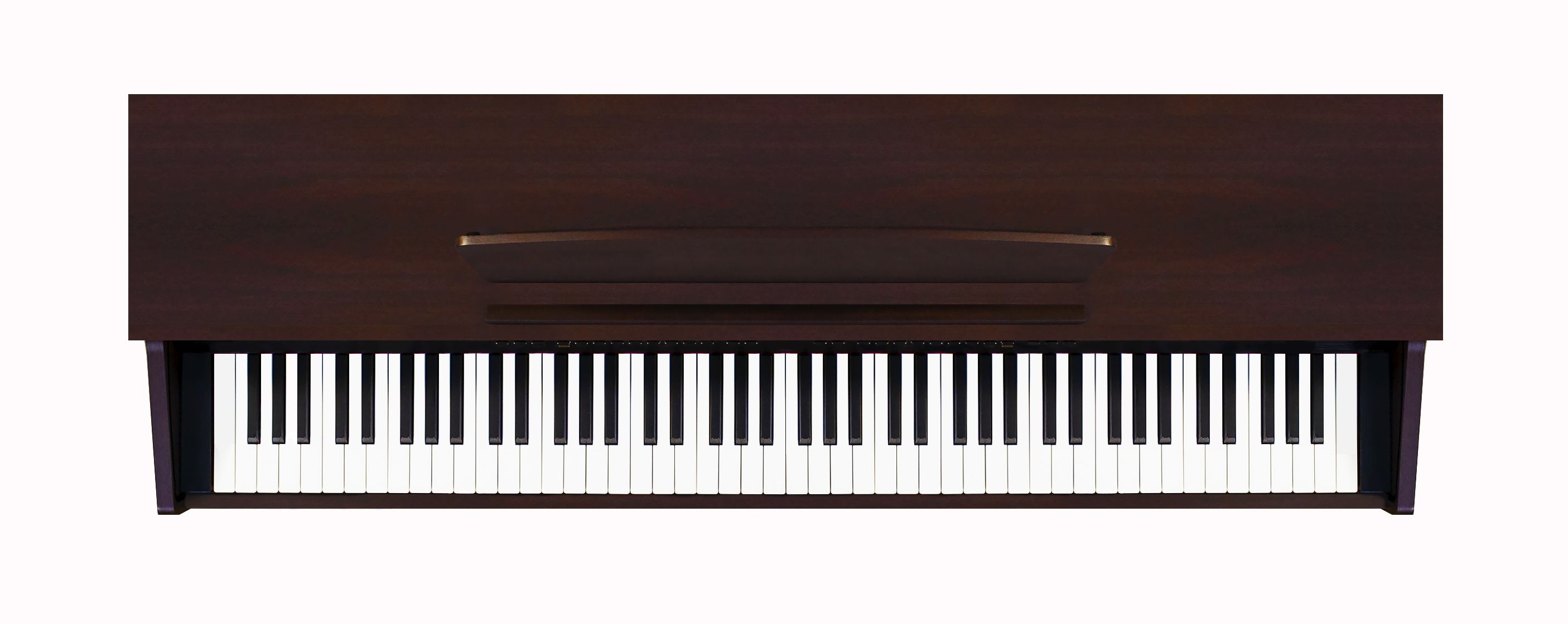 Картинка Цифровое пианино Becker BPP-22R - лучшая цена, доставка по России. Фото N3