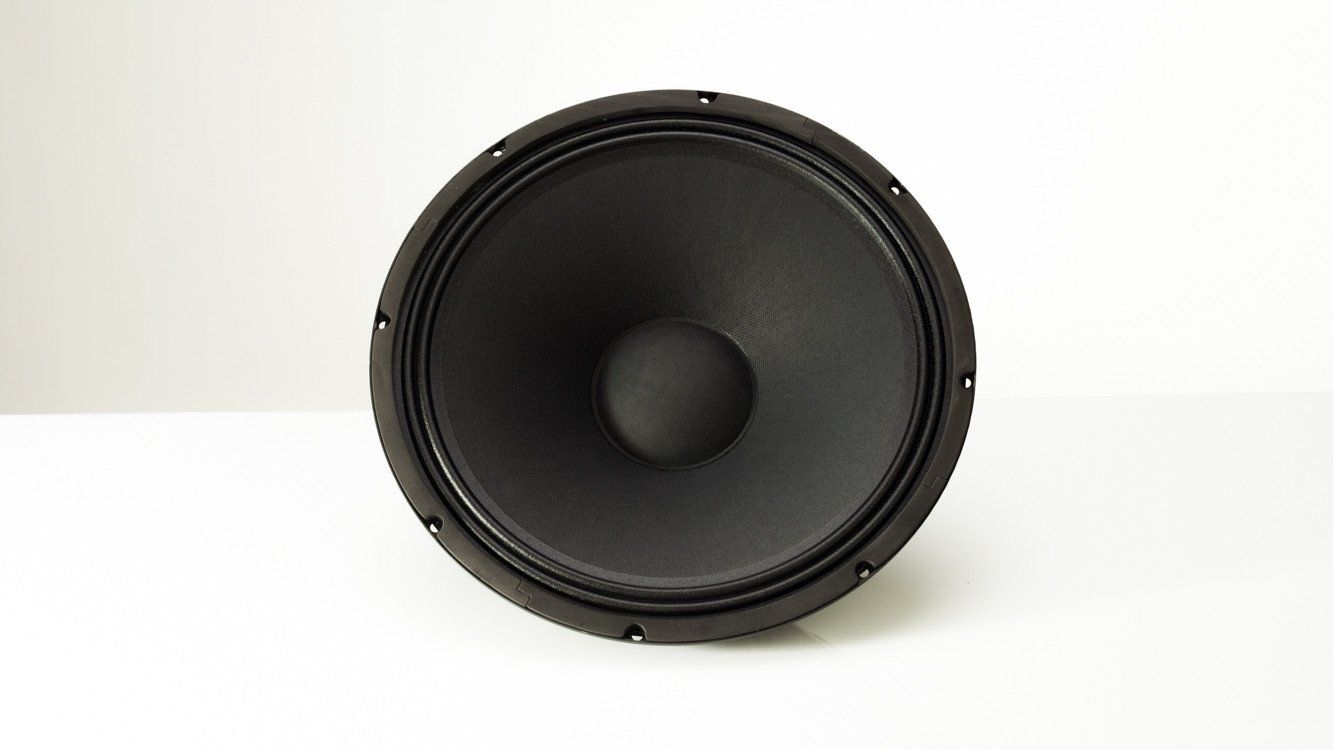 Ps динамик. Динамик Carvin ps15 600 Watts. Динамик Carvin PS 15. Динамик ts15-8 Carvin. Акустическая система Carvin lsx1002