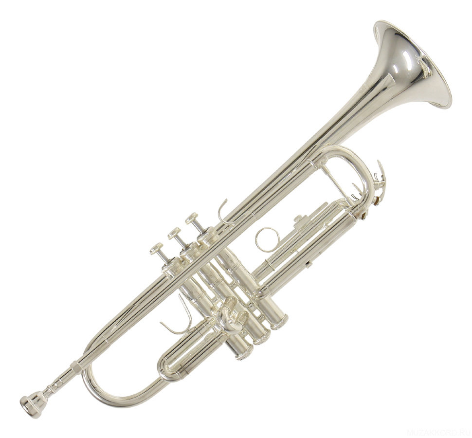 Купить трубу музыкальный инструмент. Труба Bach tr-650s BB. Bach vbs1 - труба BB. Bach tr-650 -труба BB. Bach 180s37r - труба BB.