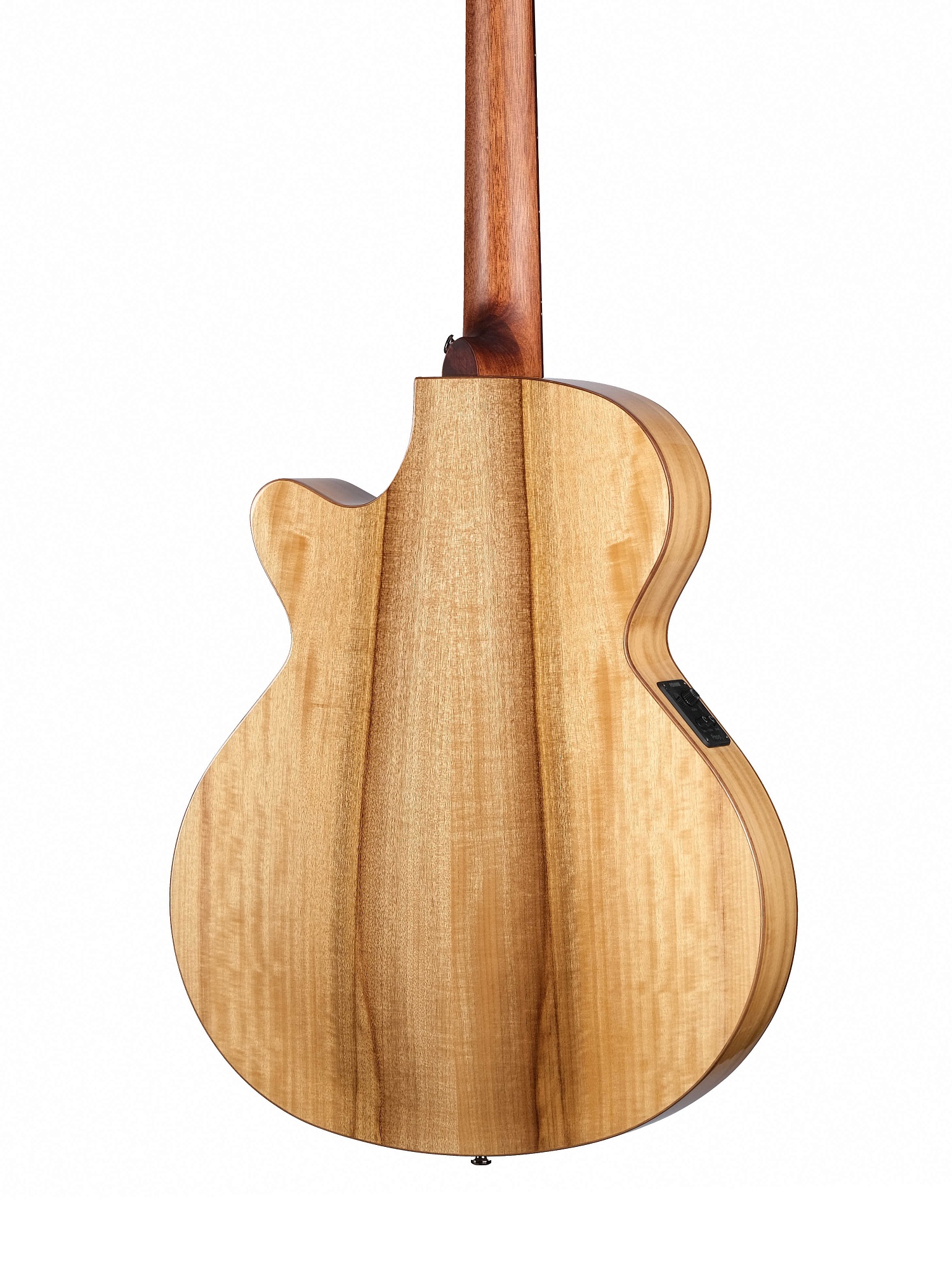 Картинка Электроакустическая гитара Cort SFX-Myrtlewood-BR - лучшая цена, доставка по России. Фото N5