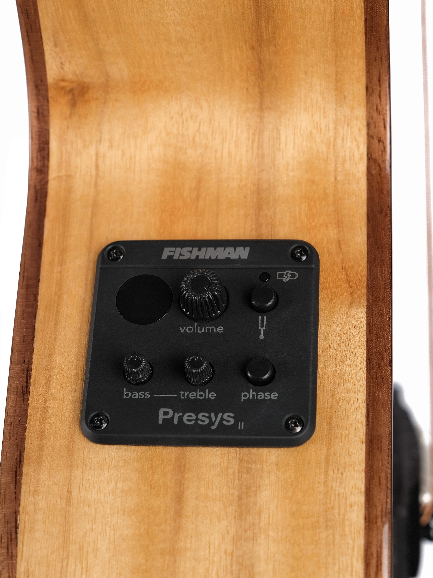 Картинка Электроакустическая гитара Cort SFX-Myrtlewood-BR - лучшая цена, доставка по России. Фото N7