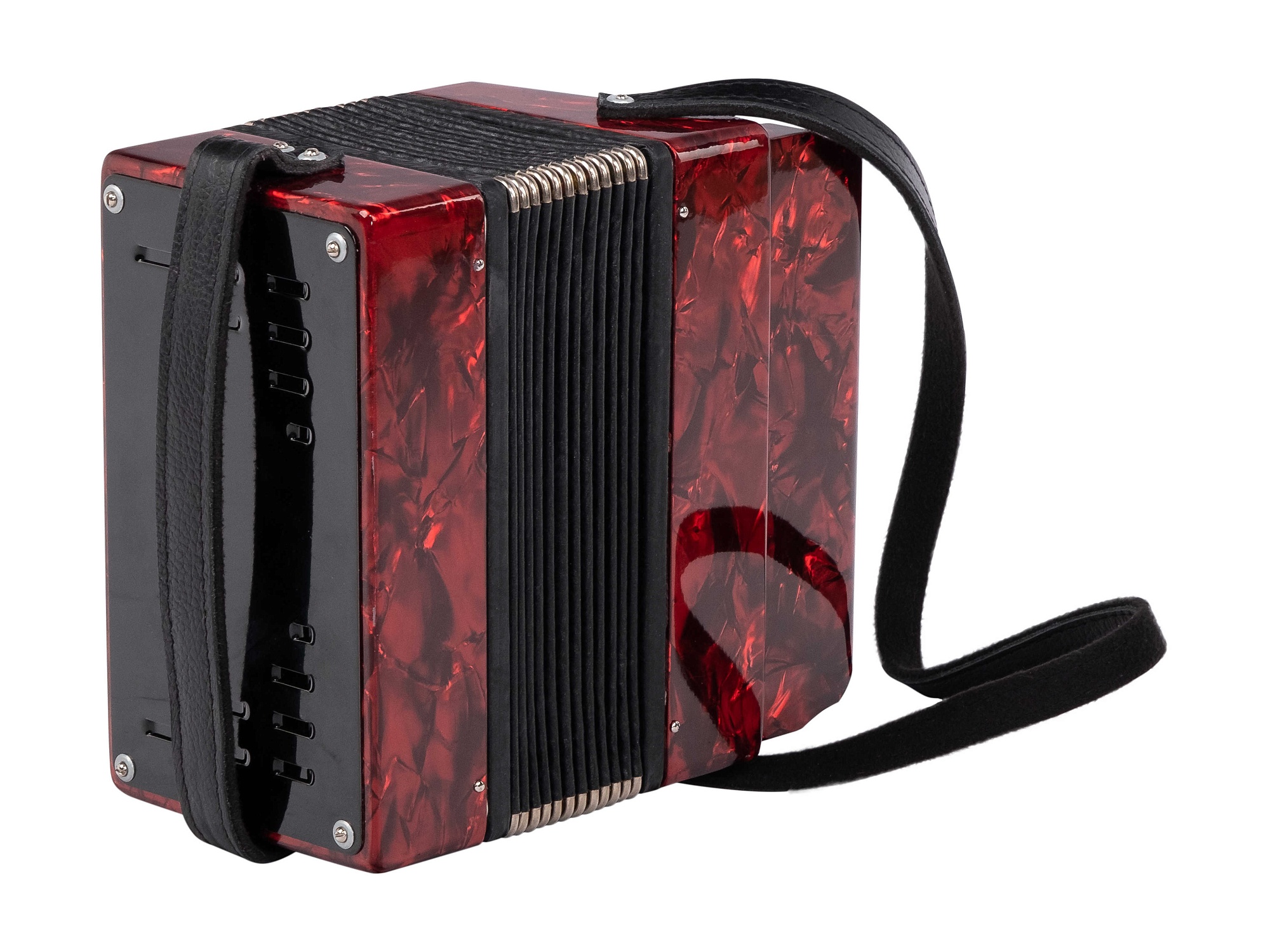 Картинка Аккордеон Шуйская гармонь S20XL-C-BD - лучшая цена, доставка по России. Фото N4