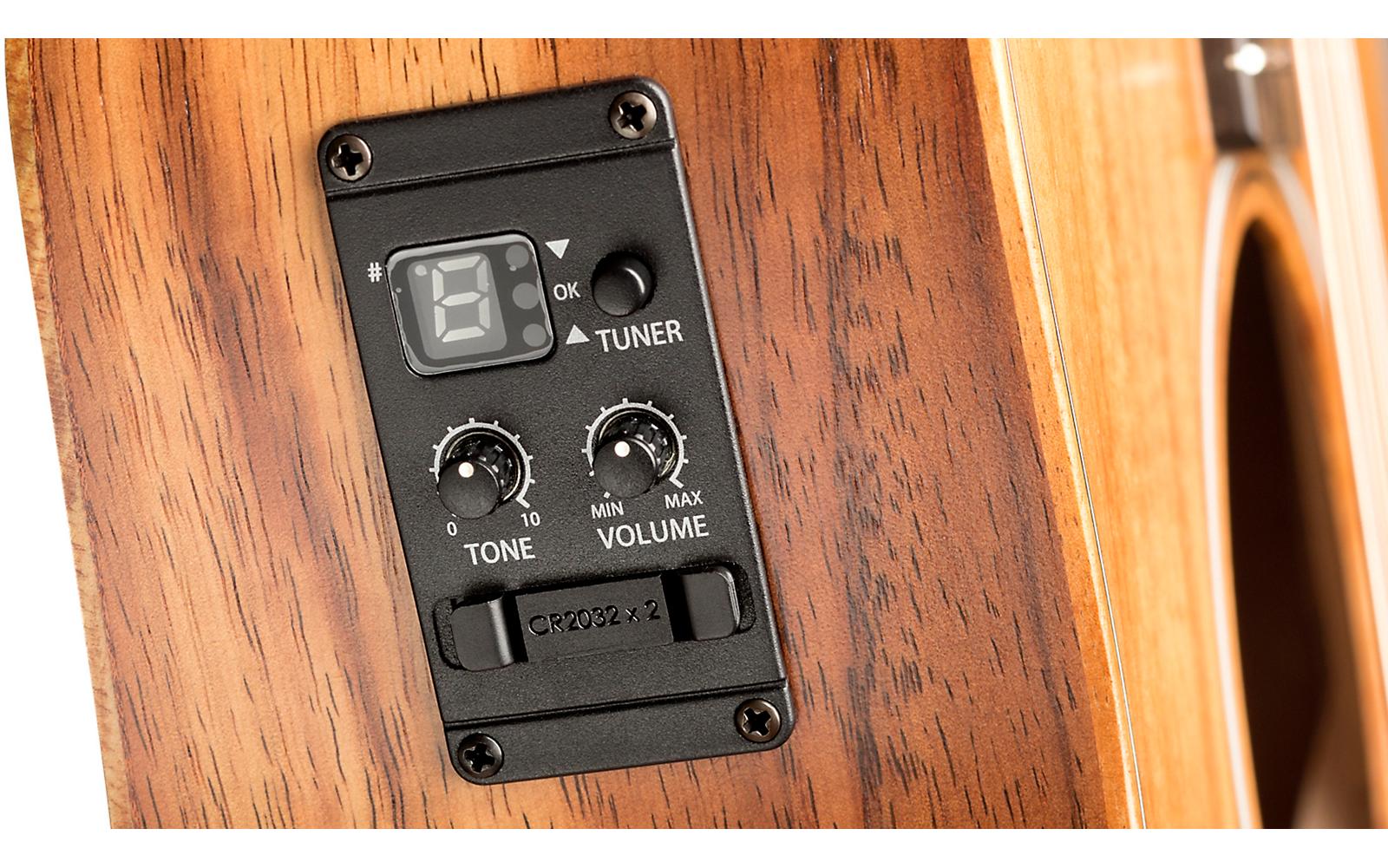 taylor gs mini preamp