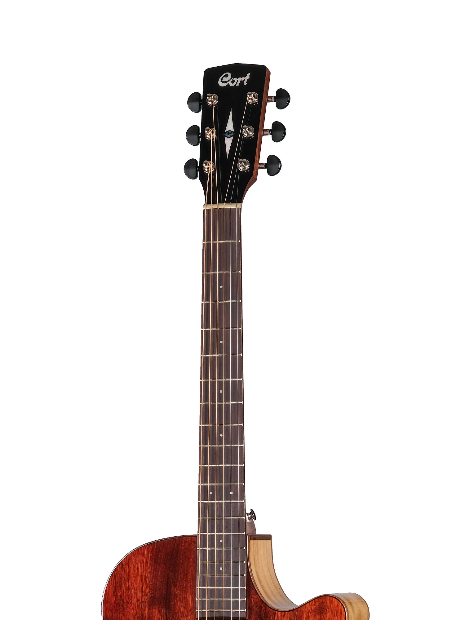 Картинка Электроакустическая гитара Cort SFX-Myrtlewood-BR - лучшая цена, доставка по России. Фото N3