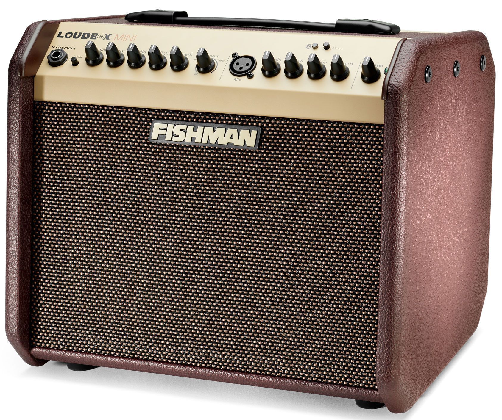 Guitar combos. Fishman Loudbox Mini charge. Усилитель Fishman для акустической гитары. Fishman Loudbox artist. Комбоусилитель для акустической гитары aer.