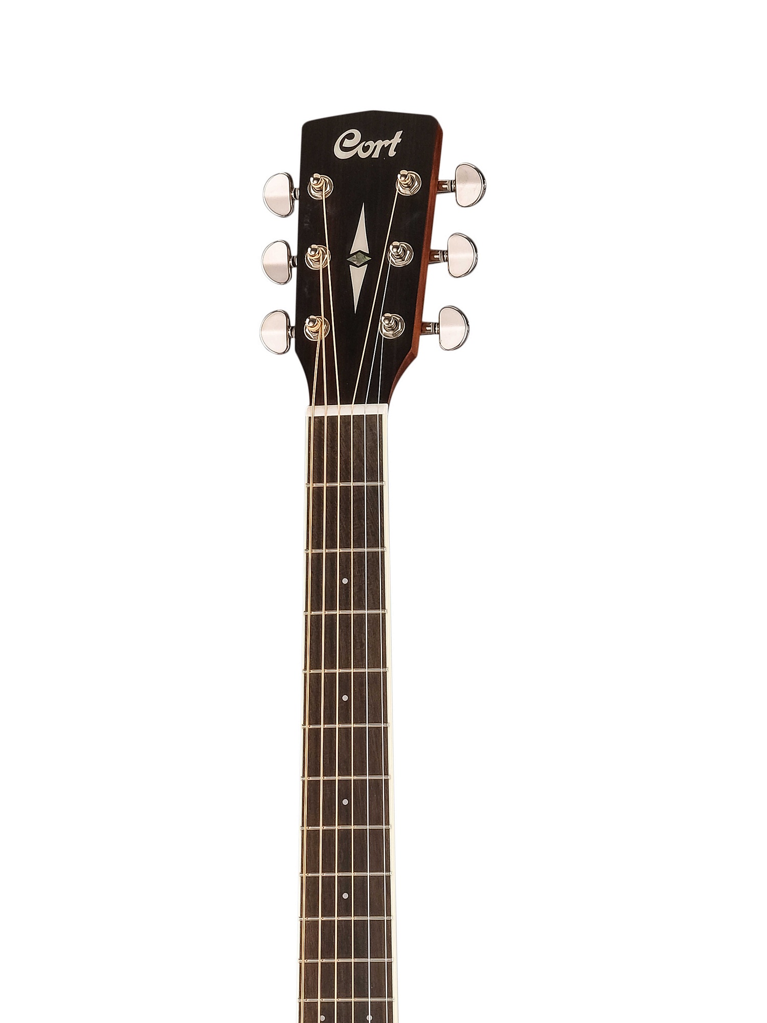 Картинка Акустическая гитара Cort Earth100-NS - лучшая цена, доставка по России. Фото N2