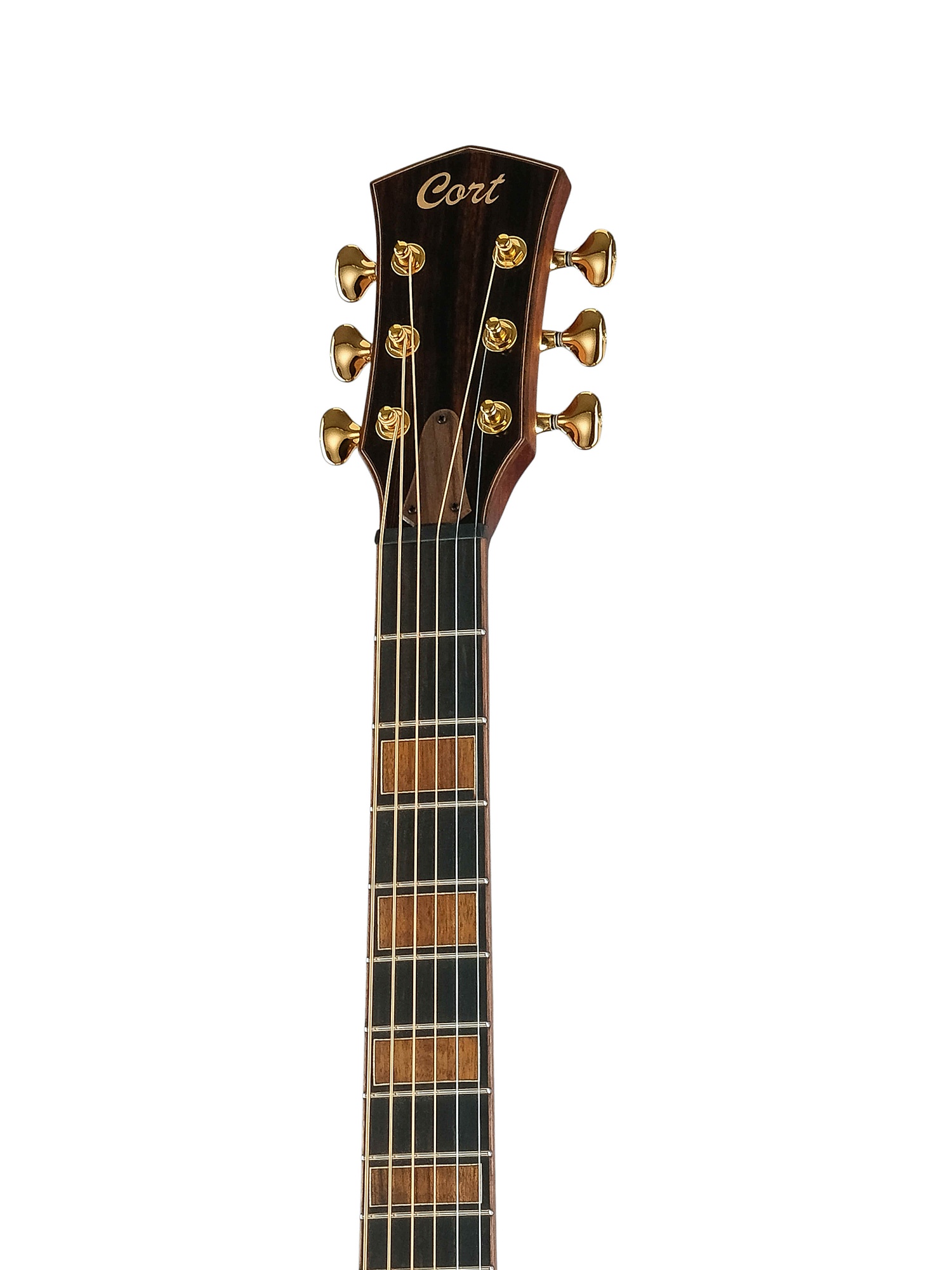 Картинка Электроакустическая гитара Cort Modern-Black-WCASE-TBK Masterpiece Series - лучшая цена, доставка по России. Фото N8