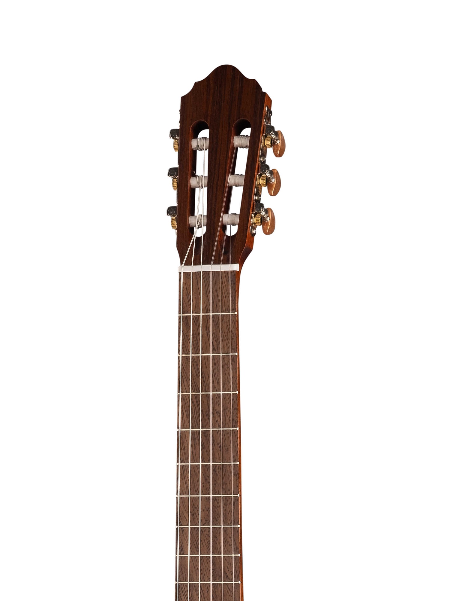 Картинка Классическая гитара с подключением Cort AC120CE-OP - лучшая цена, доставка по России. Фото N6