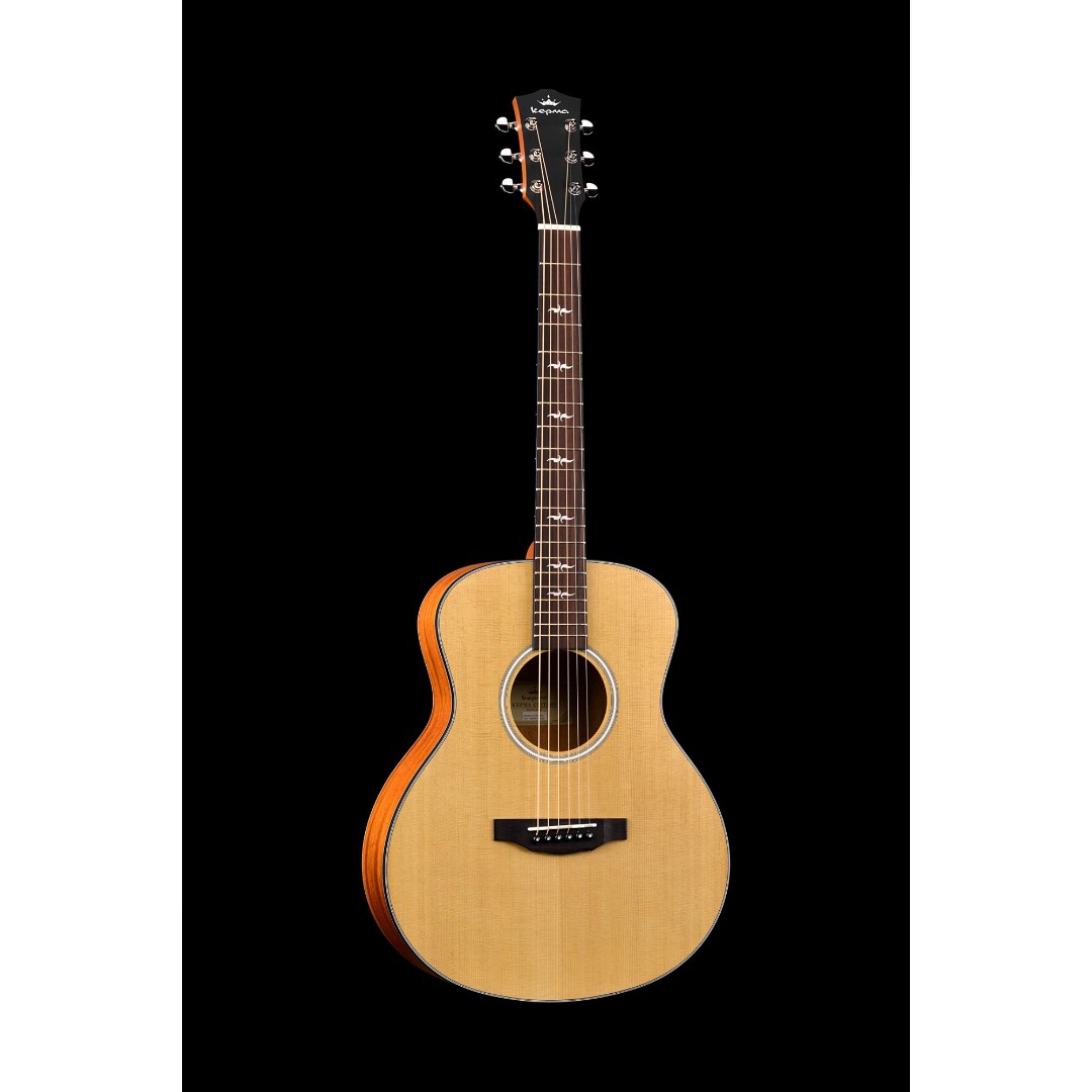 Трансакустическая гитара. Ortega rst5m. Гитара Ortega student Series rst5 3/4. Ortega Guitars. Ortega Horizon Series.