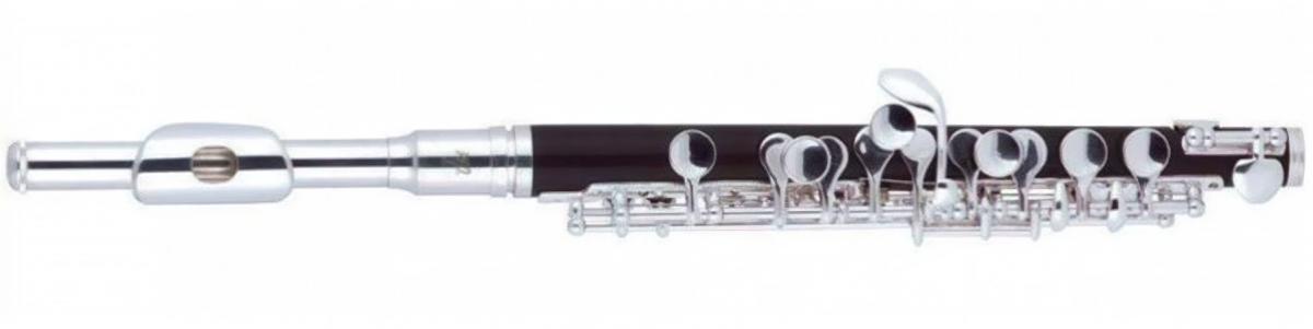 Michael flu-450s. Флейта j. Michael fl-380se. Michael al-780. Флейта j michael.