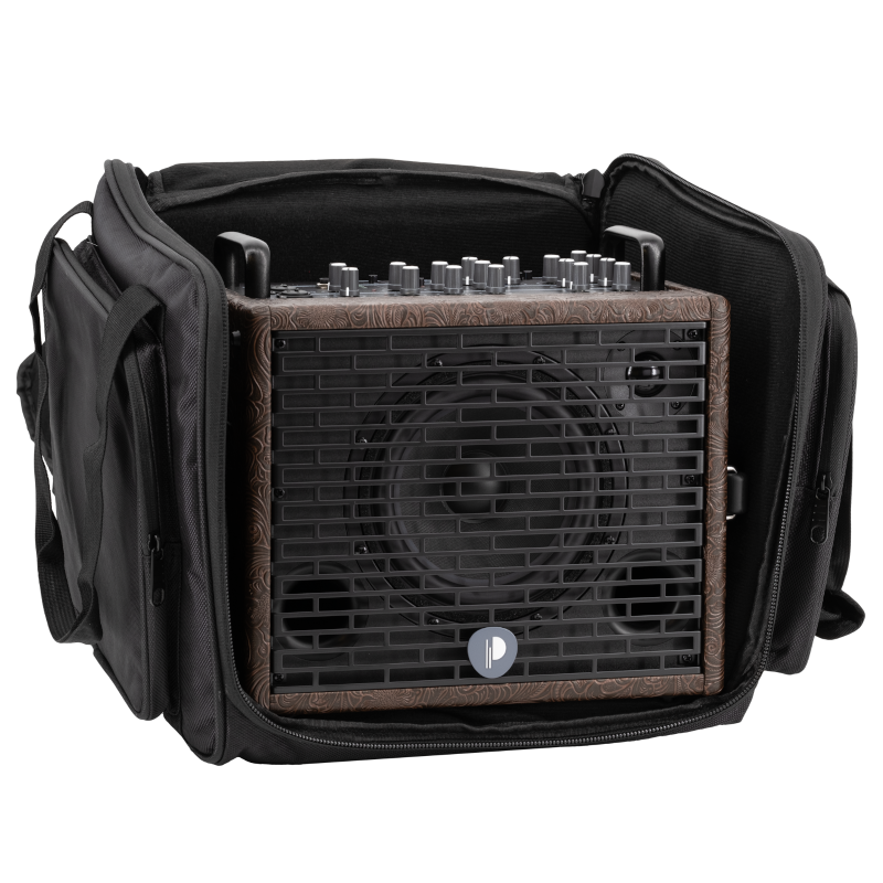 Картинка Гитарный комбоусилитель Prodipe PROTRAVELER6 - лучшая цена, доставка по России. Фото N5