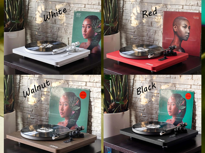 КОЛЛАЖ ДИАНА.jpg