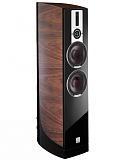 Картинка  Dali EPICON 6  Цвет: Орех [WALNUT] - лучшая цена, доставка по России