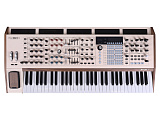 Картинка Аналоговый синтезатор Arturia PolyBrute 12 - лучшая цена, доставка по России