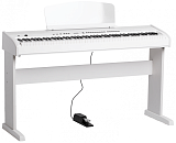 Картинка Цифровое пианино Orla Stage Studio White Satin - лучшая цена, доставка по России
