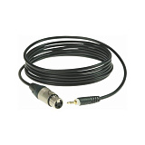 Картинка Микрофонный кабель XLR(F) Klotz AU-MF0300 - лучшая цена, доставка по России