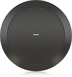 Картинка Потолочный громкоговоритель Tannoy CVS 301-BK - лучшая цена, доставка по России