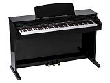 Картинка Цифровое пианино Orla CDP 101 black - лучшая цена, доставка по России