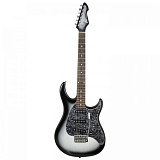 Картинка  Peavey Raptor Custom Silverburst - лучшая цена, доставка по России