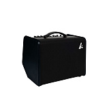 Картинка Комбоусилитель для акустической гитары Godin Acoustic Solutions ASG-8 120 Black - лучшая цена, доставка по России