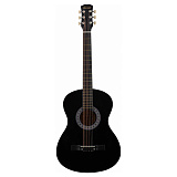 Картинка Акустическая гитара Terris TF-3805A BK - лучшая цена, доставка по России