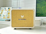 Картинка Гитарный комбоусилитель Justpro Fox-150 WH - лучшая цена, доставка по России