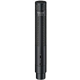 Картинка Микрофон конденсаторный Tascam TM-200SG - лучшая цена, доставка по России