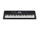 Картинка Синтезатор Casio CT-X700 - лучшая цена, доставка по России