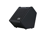 Картинка Комбоусилитель для электронной ударной установки DK iD-25 - лучшая цена, доставка по России