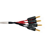 Картинка Акустический кабель Wireworld Luna 8 Biwire Speaker Cable 2.0m Pair (BAN-BAN) - лучшая цена, доставка по России