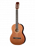 Картинка Классическая гитара 3/4 Presto GC-BN20-3/4 - лучшая цена, доставка по России