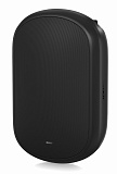 Картинка Пассивная акустическая система Tannoy DVS 801 - лучшая цена, доставка по России